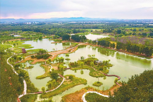 水清樹茂生態園