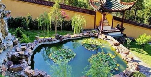 楊氏草莓生態(tài)園門票預(yù)訂攻略 價格、渠道與游玩指南