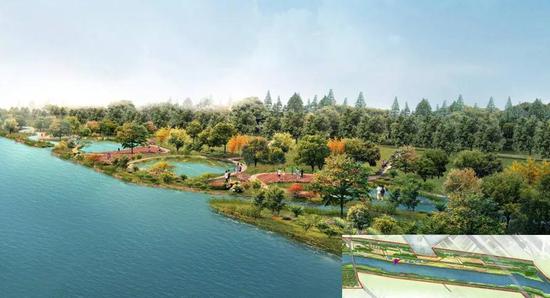 煥新升級！北辰郊野公園變身生態(tài)樂園，櫻花園與童趣天地驚艷亮相